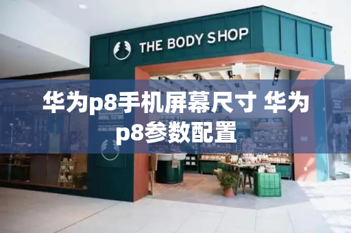华为p8手机屏幕尺寸 华为p8参数配置-第1张图片-星选测评
