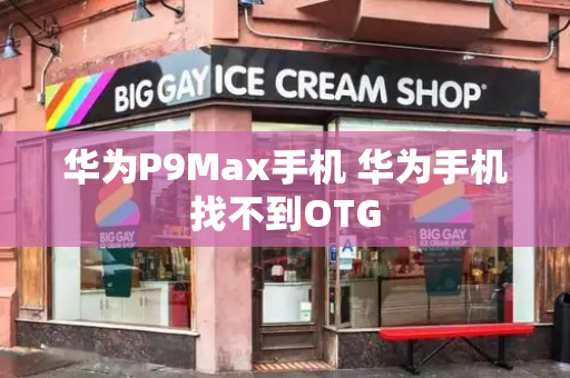 华为P9Max手机 华为手机找不到OTG