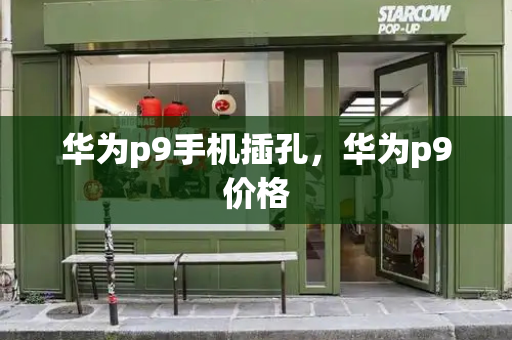华为p9手机插孔，华为p9价格-第1张图片-星选测评