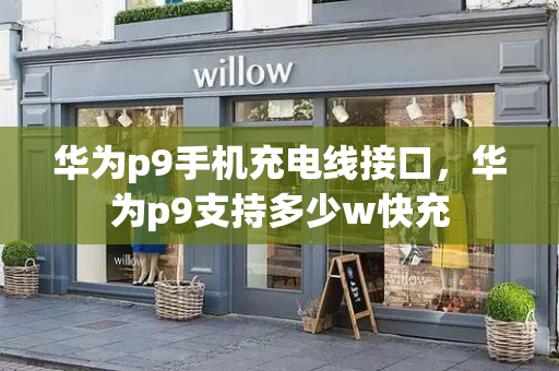 华为p9手机充电线接口，华为p9支持多少w快充-第1张图片-星选测评