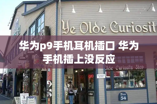 华为p9手机耳机插口 华为手机插上没反应-第1张图片-星选测评