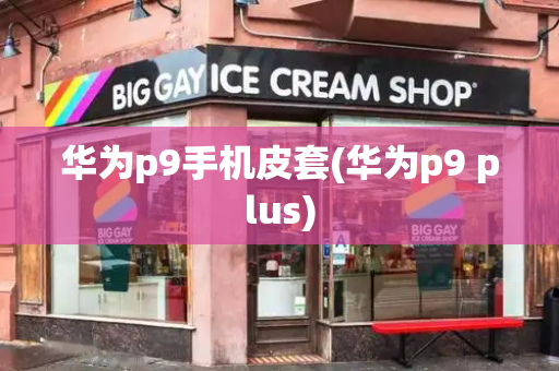 华为p9手机皮套(华为p9 plus)