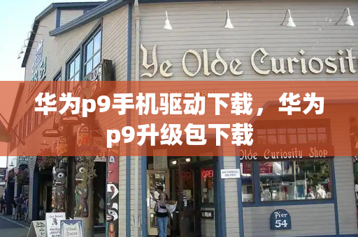 华为p9手机驱动下载，华为p9升级包下载-第1张图片-星选测评