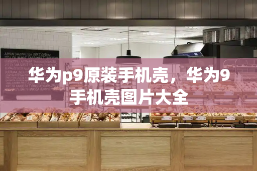 华为p9原装手机壳，华为9手机壳图片大全-第1张图片-星选测评