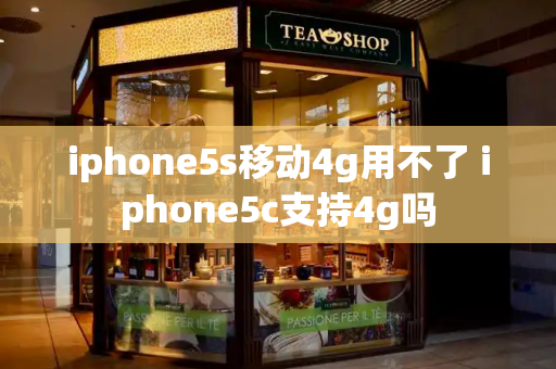 iphone5s移动4g用不了 iphone5c支持4g吗