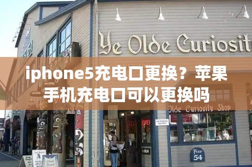 iphone5充电口更换？苹果手机充电口可以更换吗-第1张图片-星选测评