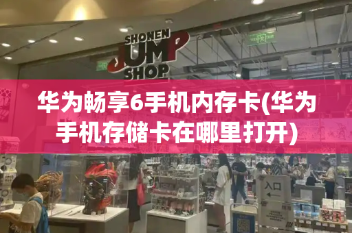 华为畅享6手机内存卡(华为手机存储卡在哪里打开)-第1张图片-星选测评