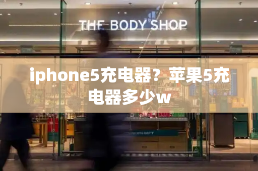 iphone5充电器？苹果5充电器多少w-第1张图片-星选测评