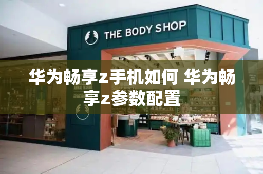 华为畅享z手机如何 华为畅享z参数配置-第1张图片-星选测评