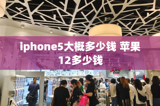 iphone5大概多少钱 苹果12多少钱