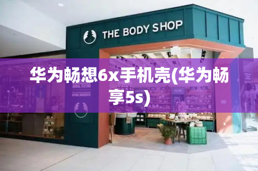 华为畅想6x手机壳(华为畅享5s)