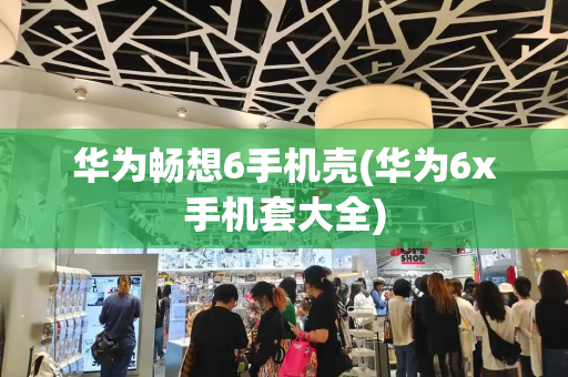华为畅想6手机壳(华为6x手机套大全)-第1张图片-星选测评