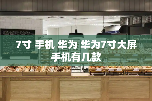 7寸 手机 华为 华为7寸大屏手机有几款-第1张图片-星选测评
