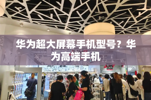 华为超大屏幕手机型号？华为高端手机-第1张图片-星选测评