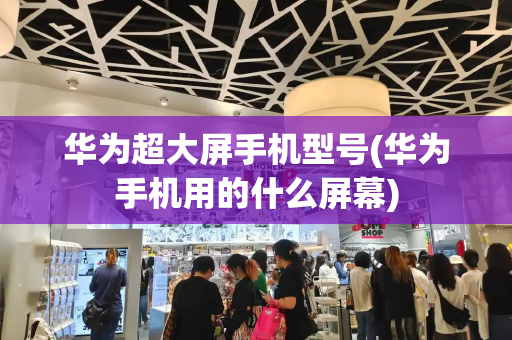 华为超大屏手机型号(华为手机用的什么屏幕)-第1张图片-星选测评