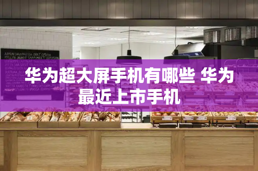 华为超大屏手机有哪些 华为最近上市手机