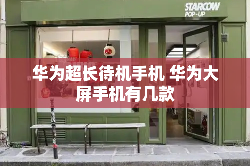 华为超长待机手机 华为大屏手机有几款-第1张图片-星选测评