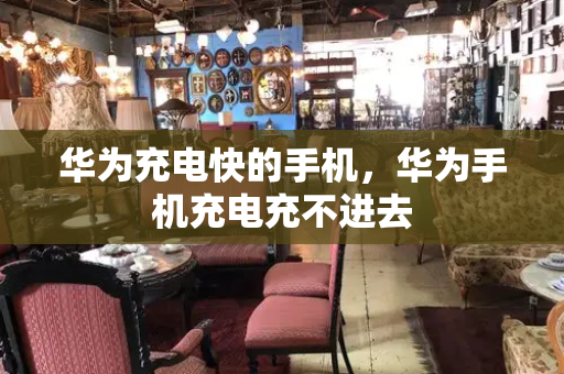 华为充电快的手机，华为手机充电充不进去-第1张图片-星选测评