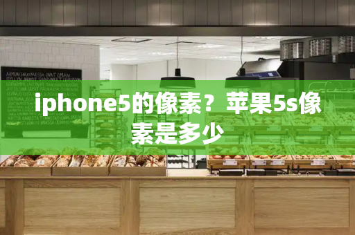 iphone5的像素？苹果5s像素是多少-第1张图片-星选测评
