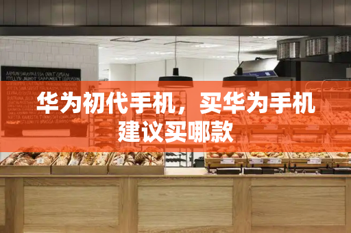 华为初代手机，买华为手机建议买哪款-第1张图片-星选测评