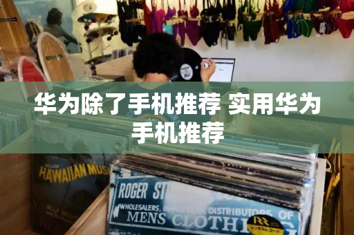 华为除了手机推荐 实用华为手机推荐-第1张图片-星选测评