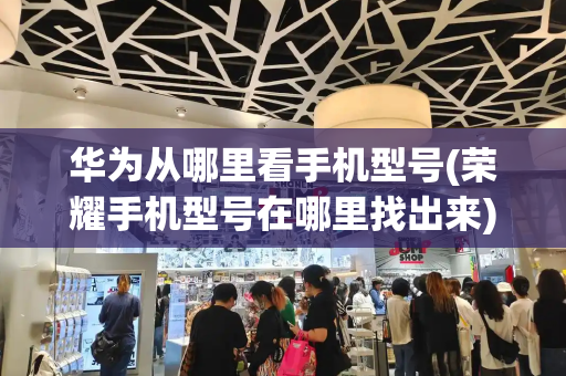 华为从哪里看手机型号(荣耀手机型号在哪里找出来)-第1张图片-星选测评