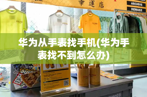 华为从手表找手机(华为手表找不到怎么办)-第1张图片-星选测评