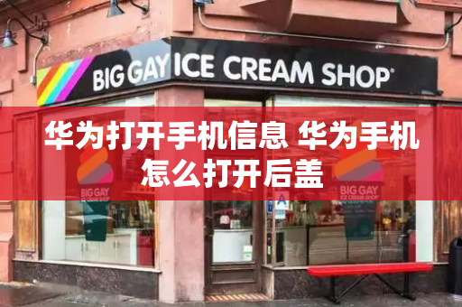 华为打开手机信息 华为手机怎么打开后盖