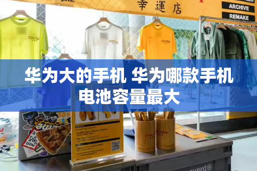 华为大的手机 华为哪款手机电池容量最大