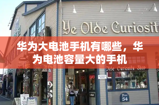 华为大电池手机有哪些，华为电池容量大的手机-第1张图片-星选测评
