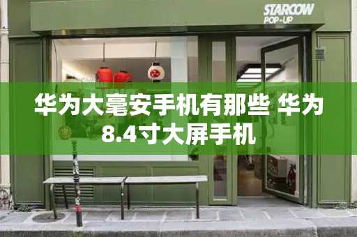 华为大毫安手机有那些 华为8.4寸大屏手机