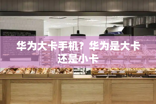 华为大卡手机？华为是大卡还是小卡-第1张图片-星选测评