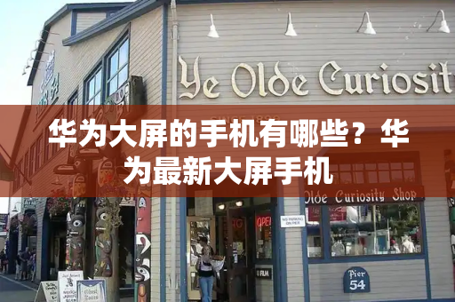 华为大屏的手机有哪些？华为最新大屏手机