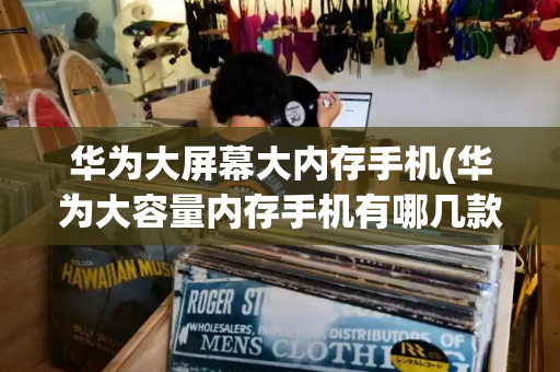 华为大屏幕大内存手机(华为大容量内存手机有哪几款)-第1张图片-星选测评