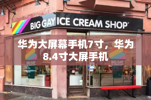 华为大屏幕手机7寸，华为8.4寸大屏手机-第1张图片-星选测评