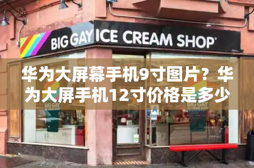华为大屏幕手机9寸图片？华为大屏手机12寸价格是多少-第1张图片-星选测评