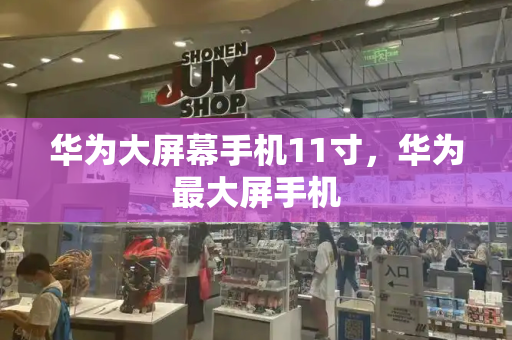 华为大屏幕手机11寸，华为最大屏手机-第1张图片-星选测评