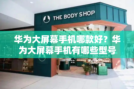 华为大屏幕手机哪款好？华为大屏幕手机有哪些型号-第1张图片-星选测评