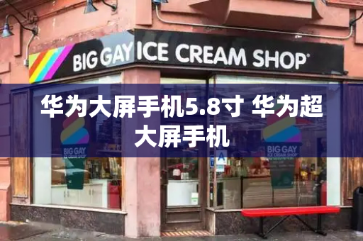 华为大屏手机5.8寸 华为超大屏手机-第1张图片-星选测评