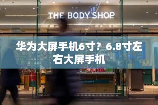 华为大屏手机6寸？6.8寸左右大屏手机-第1张图片-星选测评