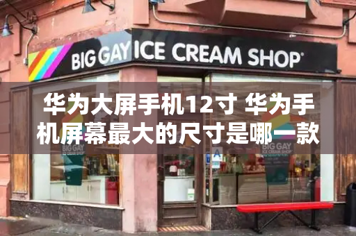 华为大屏手机12寸 华为手机屏幕最大的尺寸是哪一款