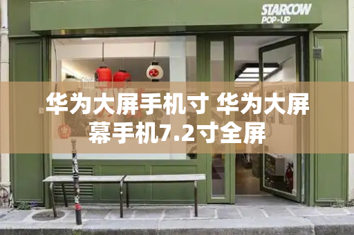 华为大屏手机寸 华为大屏幕手机7.2寸全屏-第1张图片-星选测评