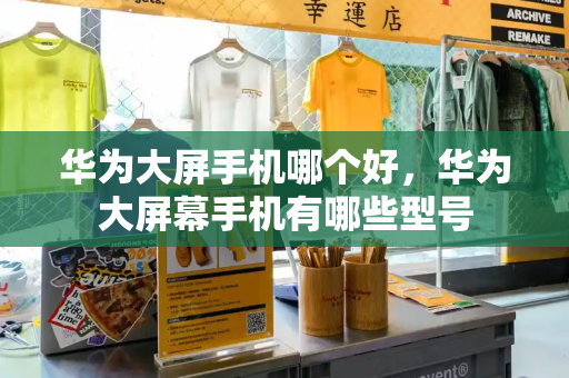 华为大屏手机哪个好，华为大屏幕手机有哪些型号-第1张图片-星选测评