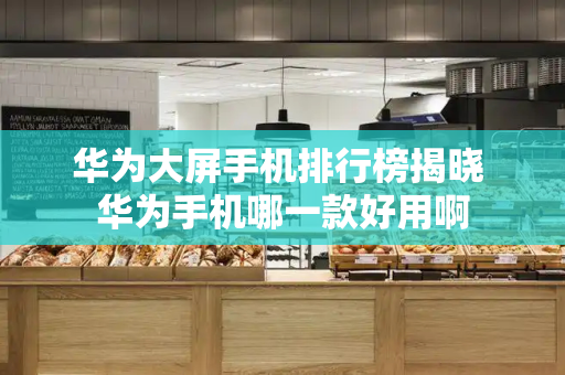 华为大屏手机排行榜揭晓 华为手机哪一款好用啊-第1张图片-星选测评