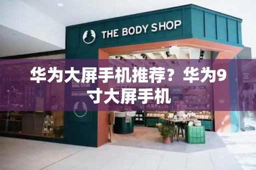 华为大屏手机推荐？华为9寸大屏手机-第1张图片-星选测评