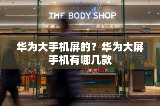 华为大手机屏的？华为大屏手机有哪几款-第1张图片-星选测评