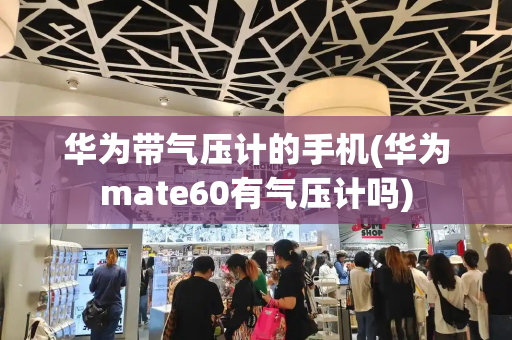 华为带气压计的手机(华为mate60有气压计吗)
