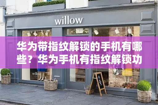 华为带指纹解锁的手机有哪些？华为手机有指纹解锁功能吗-第1张图片-星选测评