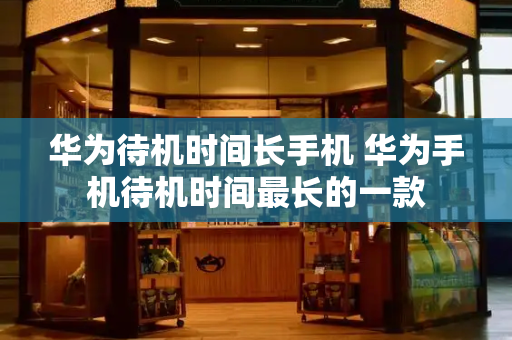 华为待机时间长手机 华为手机待机时间最长的一款-第1张图片-星选测评