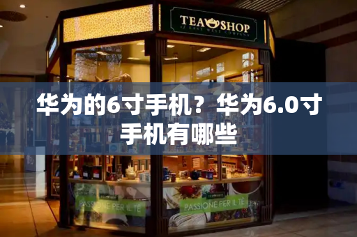 华为的6寸手机？华为6.0寸手机有哪些-第1张图片-星选测评